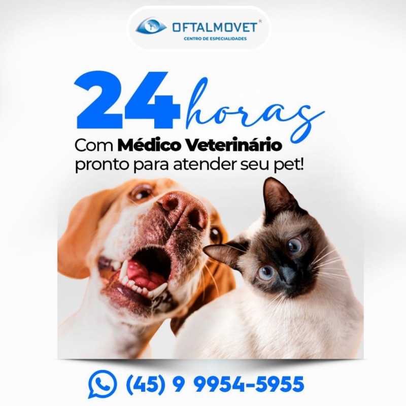 Internamento com veterinário 24h