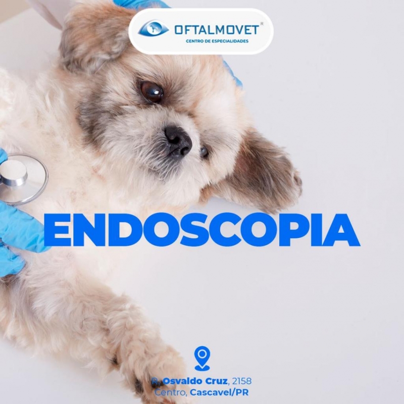 Endoscopia